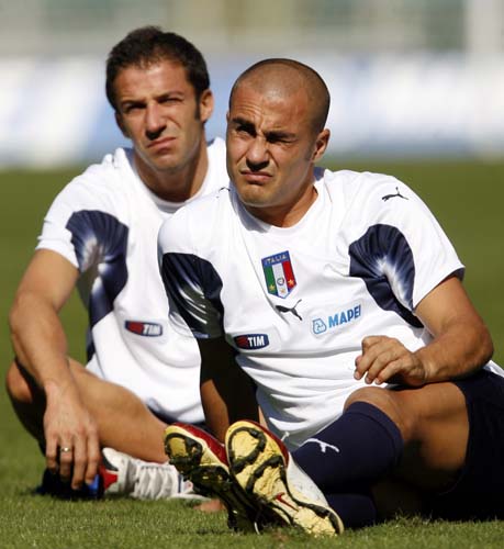 理都适应真 理都适应真