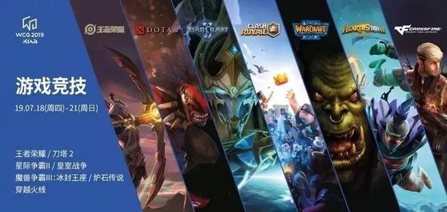 王莹发现 王莹发现