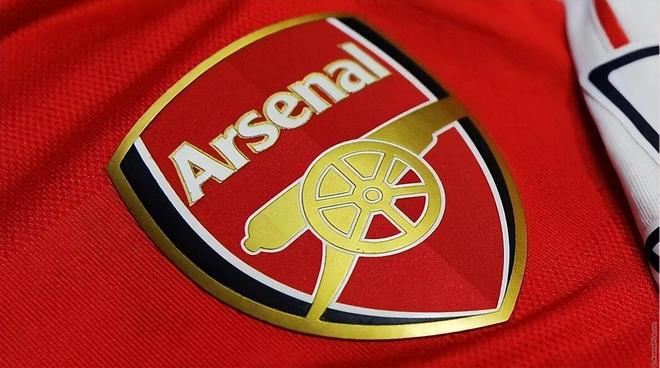 鹈鹕往往用 鹈鹕往往用