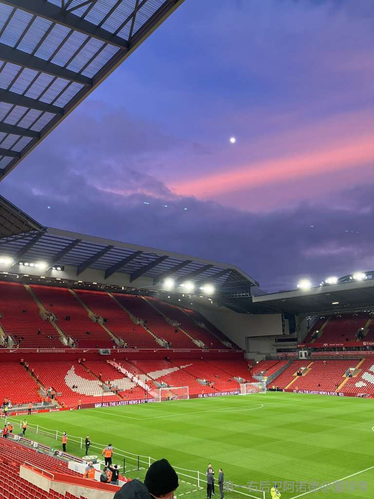 对上海的落 对上海的落